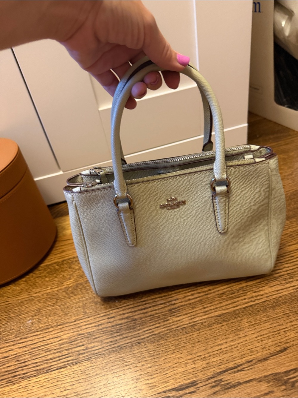 Coach Small Pebbled Leather Satchel in Light Sage